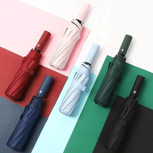 12 Bones Windproof Double Layer Resistant Umbrella Fully Aut