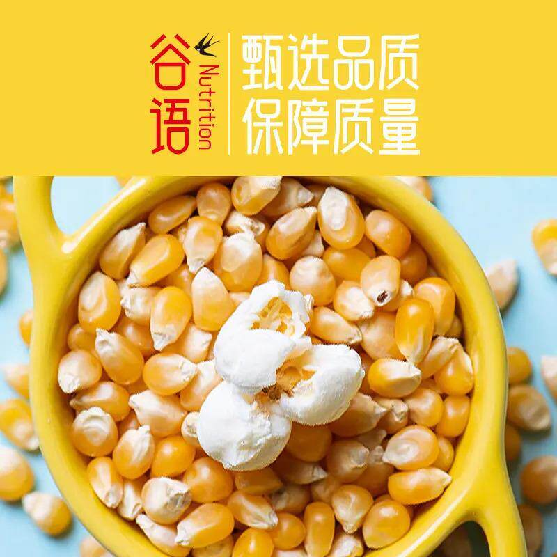 500g vacuum packed corn kernels popcorn rice kernels - 实物图