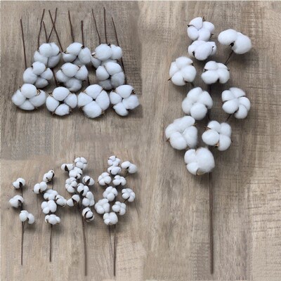 Immortal Cotton Dried Flowers, Simulated Single Kapok Bouque