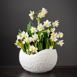 花盆陶瓷无孔养鱼仿石头盆景盆创意大号水培铜钱草绿萝水仙花的盆