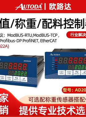 AD2022A/B灌装配料称重控制仪表Profibus-DP协议可配测力软