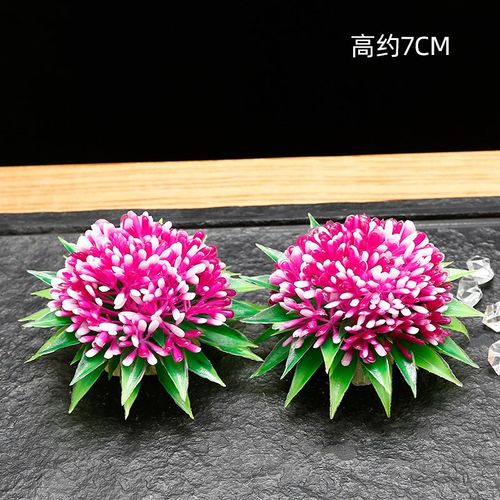 酒店餐饮中餐寿司菜品点缀冷菜凉菜日料盘式刺身盘饰摆盘装饰花草