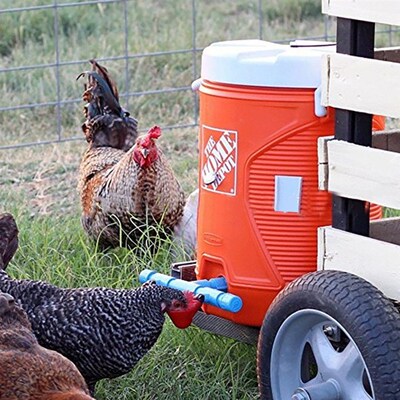 5Pcs Chicken Waterer Hens Quail Birds Drinking Bowls Water f