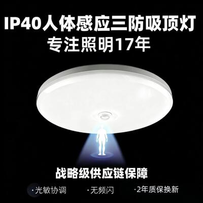 Ip40HumanBodyfreLight