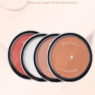 4 Colors Shading Powder Makeup Bronzer & Highlighter Contour