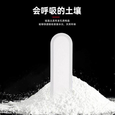 Moisture Absorbing and Dehumidifying Desiccants, Rice and Fl