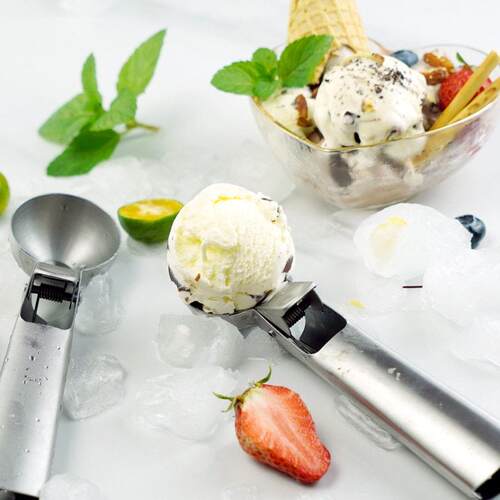 Premium Ice Cream Scoop with Trigger Icecream Scooper