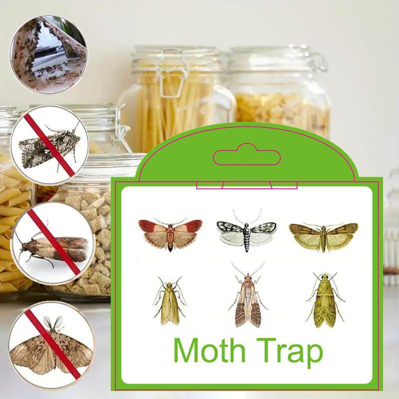 5 pcs Fly Insects Sticky Glue Trap Moth Pheromone Trap