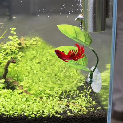 Aquarium Accessories Fish Tank Betta Leaf Fish Bed Fish Rest