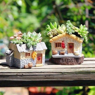 Farmhouse Succulent Pot Bonsai Container Decorative Flower