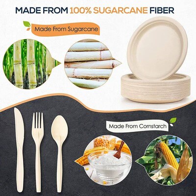 30 Pcs 8 9 Inch Disposable Sugarcane Plates Eco-Friendly Pap