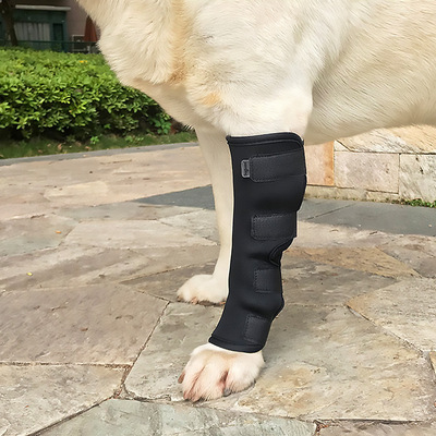 Pet Knee Pad Dog Support Brace For Leg Injury Recover Hock