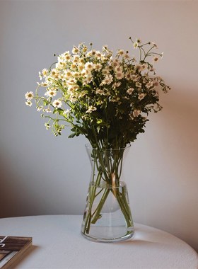 收集时光 Cmus sy学院派玻璃大花瓶 手工玻璃花瓶