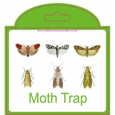 5 pcs Fly Insects Sticky Glue Trap Moth Pheromone Trap