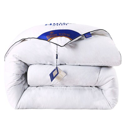 Down All Season Duvet Hotel Quality Warm Quilt Blanket 被子