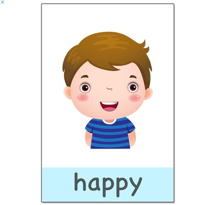 14pcs Montessori Baby Emotion Learning Card Cartoon English