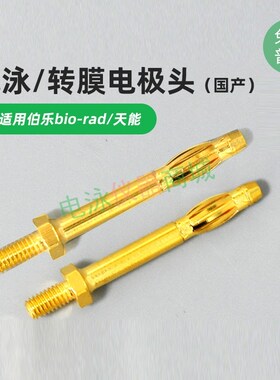 电极头电泳槽电极头wb电泳槽维修伯乐天能六一biord电极头接线柱