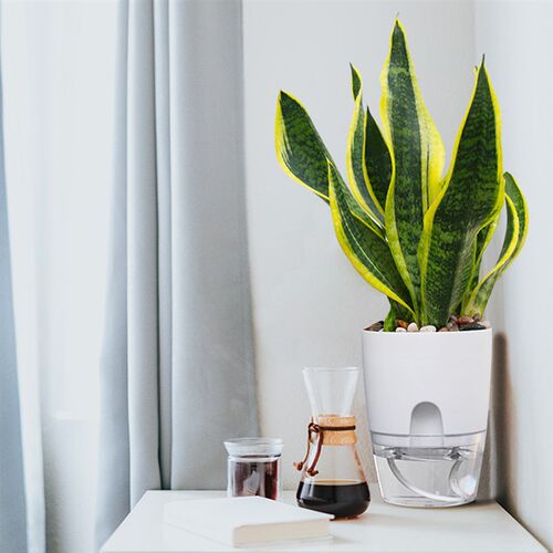 ABS Automatic Self Watering Flower Pot for Succulent Plants