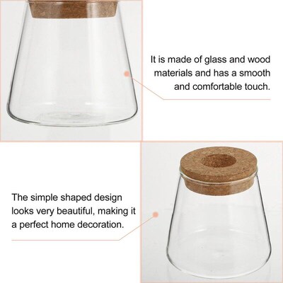 Wedding Succulent Planters Desktop Glass Planter Hydroponics