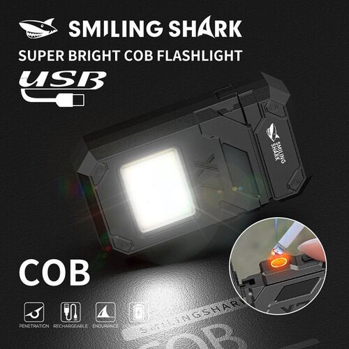 Multifunctional arc lighter portable lighting work light