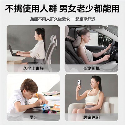 Pony Ergonomic Lumbar Support Cushion, Posture Correction Ch