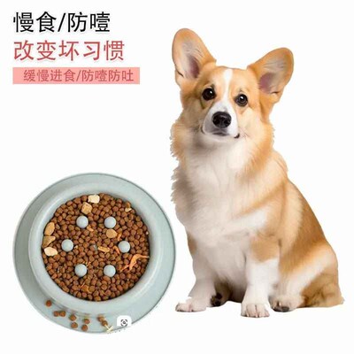 Pet slow food bowl anti-choking bowl thickened cat bowl dog