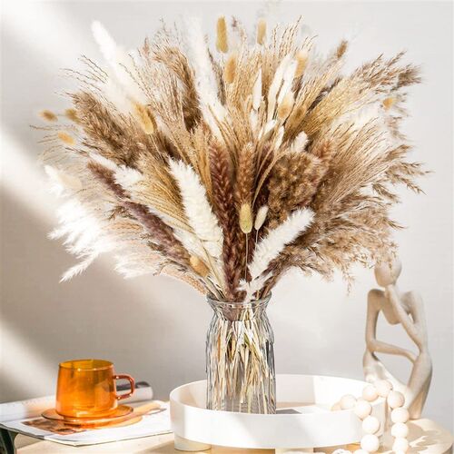 Dried Pampa Natural Decoratio Pampas Grass White Bed