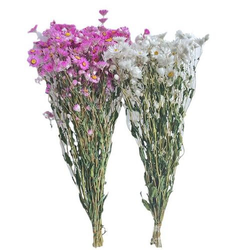 Rodens Ruden Bird Dried Flower Ornament Preserved Flower Bou