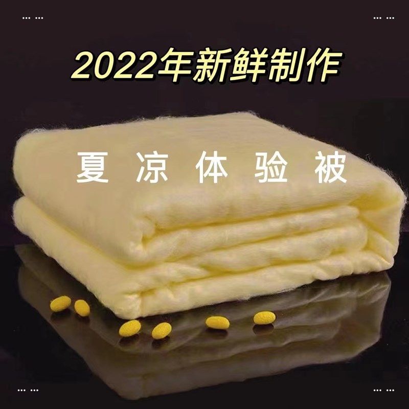 【古法手工】夏凉被桑蚕丝长丝被空调被体验被,床上用品,蚕丝被,淘宝优惠券,粉丝福利购,淘宝优惠卷