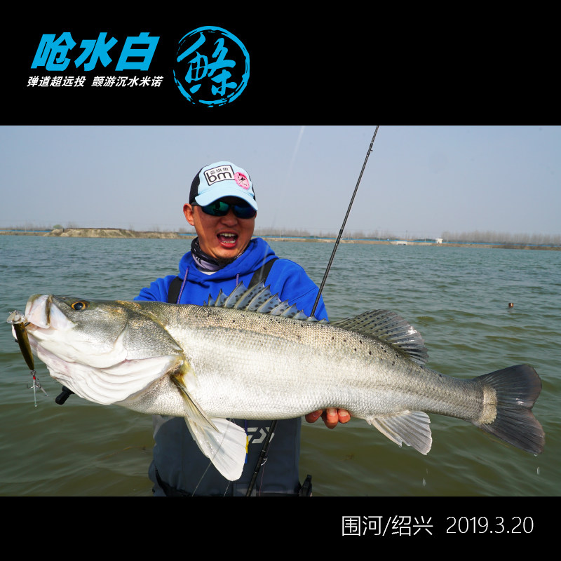 蓝旗鱼弹道呛水白条白鲦远投沉水米诺全泳层翘嘴巨物杀器路亚假饵,户外/登山/野营/旅行用品,路亚饵,淘宝优惠券,粉丝福利购,淘宝优惠卷