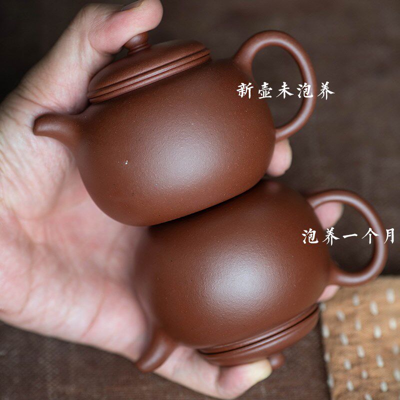 宜兴紫砂壶 包真原矿红皮龙 手工 匏尊壶 小容量 老茶龙珠茶冲泡