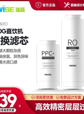 Rwise瑞森净水器家用大通量直饮机PPC复合滤芯RO反渗透滤芯替换