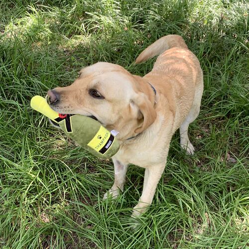 Creative Dog Toys Cocktail Vodka Wine Bottle Pet Toy Plush F