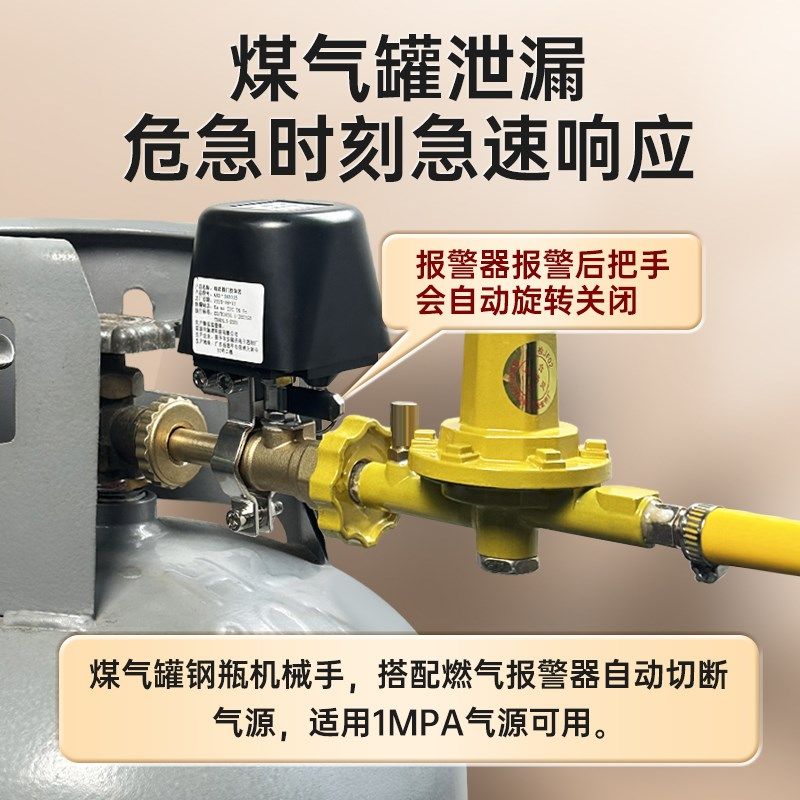 新国标丙烷甲烷燃气报警器泄露自动切断漏气报警装置泄漏警报器,电子/电工,家用气体检测报警器,淘宝优惠券,粉丝福利购,淘宝优惠卷