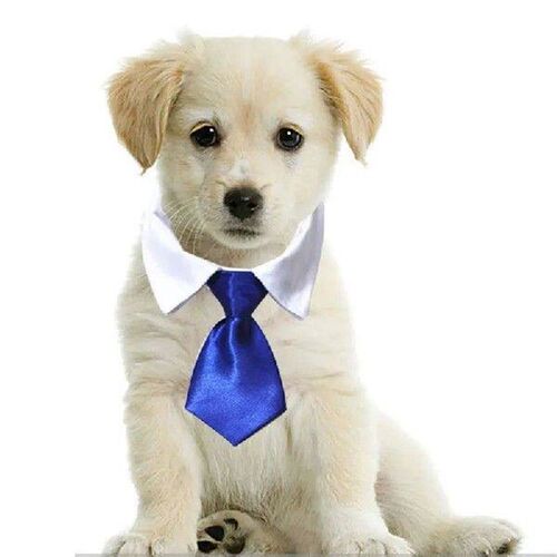 2022 Dog Cat Striped Bow Tie Animal Striped Bowtie Collar