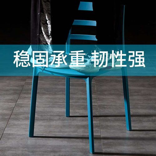 Simple Modern Dining Chair Fashion Outdoor Cafe Homestay Din