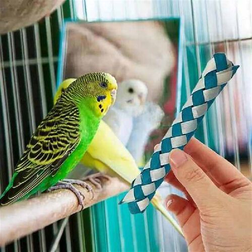 Finger Traps Pet Foraging Accessory Assorted Colors Chinese
