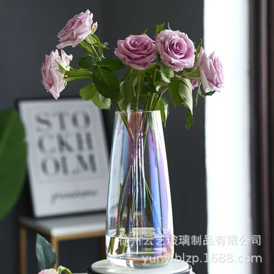 Nordic Ins Style Simple Fantasy Glass Vase Hydroponic Flower