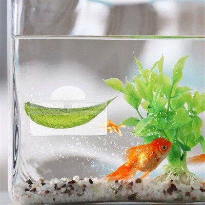 Douyuwo Tunnel Fish Tank Decoration Acrylic Accessory Betta