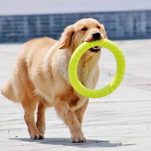 Pet Flying Discs EVA Dog Training Ring Puller Resistant Bite