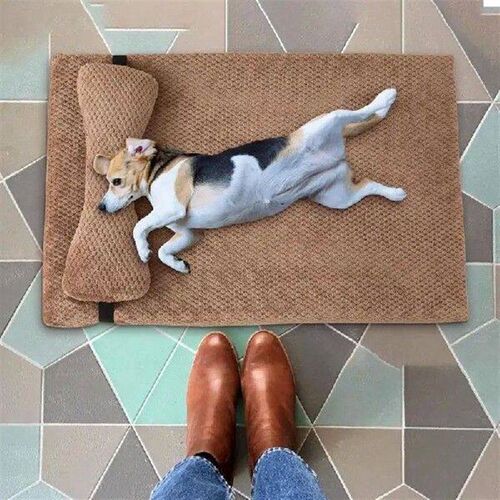 Dog Bed For Medium Dogs Sofa Bed Mat Orthopedic With