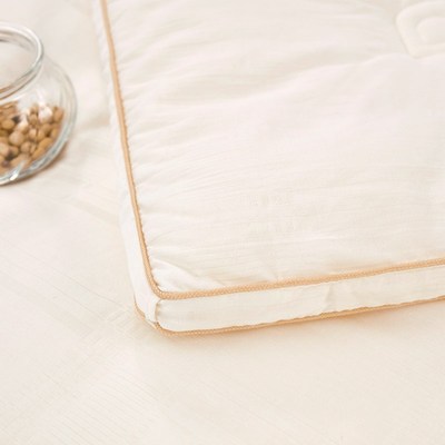 奥若拉简朴水洗棉大豆被亲肤类柔软滋养冬季芯大豆纤维冬被