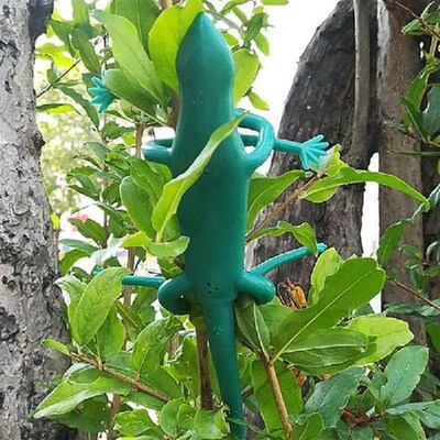 Durable Decorative Plant Support Straps for Climbing Vines