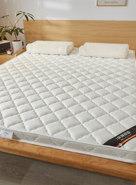 粽垫床垫偏硬护脊一米二五八乘两米1.0*1.2*1.5*1.9米1.8x2x2.2