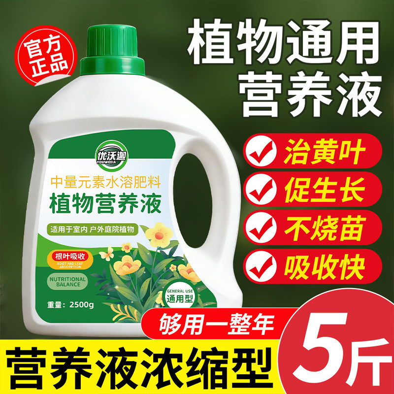 营养液植物通用型花肥发财树富贵竹绿萝水培盆栽家用花卉绿植肥料