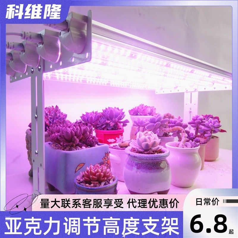 多肉补光灯升降支架家用上色全光谱led仿太阳照花长灯架灯管支架,家装灯饰光源,植物生长灯,淘宝优惠券,粉丝福利购,淘宝优惠卷