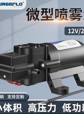 FL-2202A高压喷雾泵厂家直销微小型电动隔膜泵可乐饮料机增压水泵