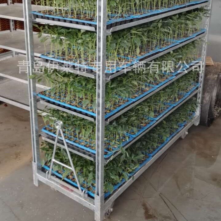 厂家直销荷兰花车，花卉层车，花园工具台车， 拉板网育苗车