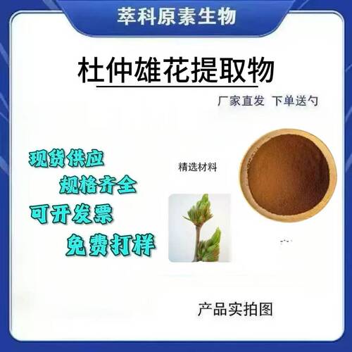 杜仲雄花提取物 杜仲雄花粉 10：1 浓缩萃取粉量大从优现货包邮