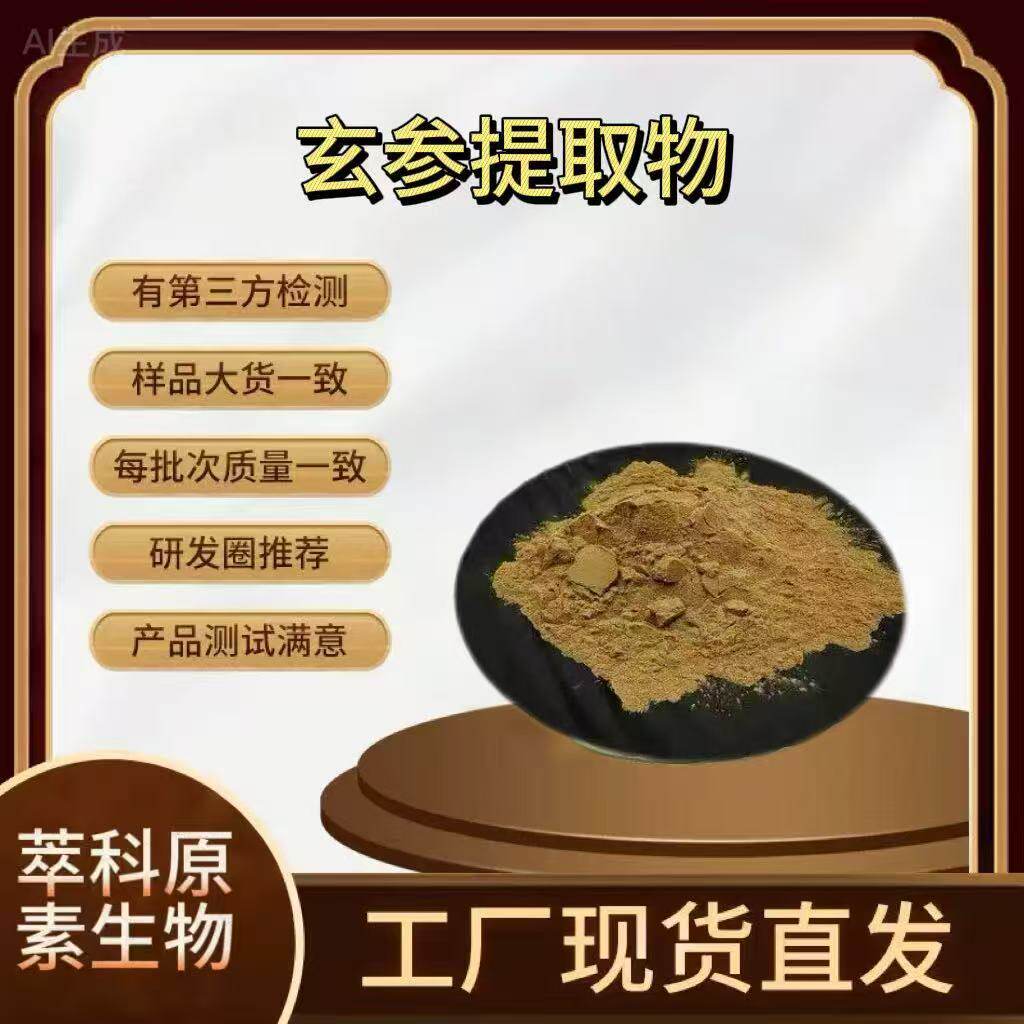 玄参提取物 50:1高比例玄参粉 玄参皂甙 元参提取物  水溶